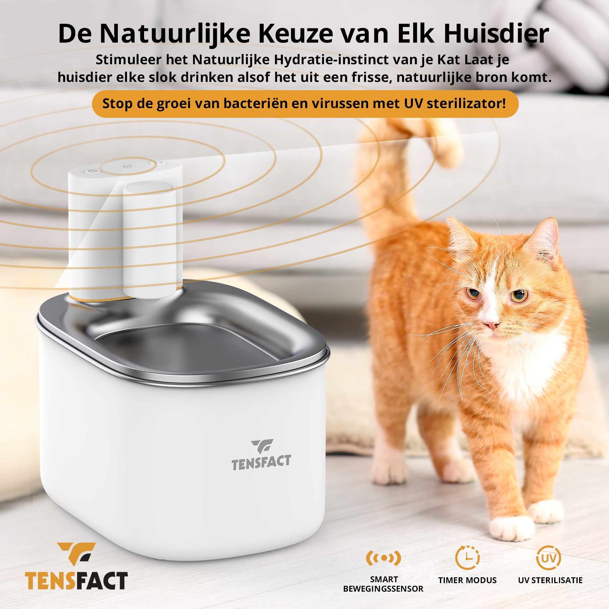 Pretty Paw Trinkbrunnen für Hunde mit 7L Wassertank