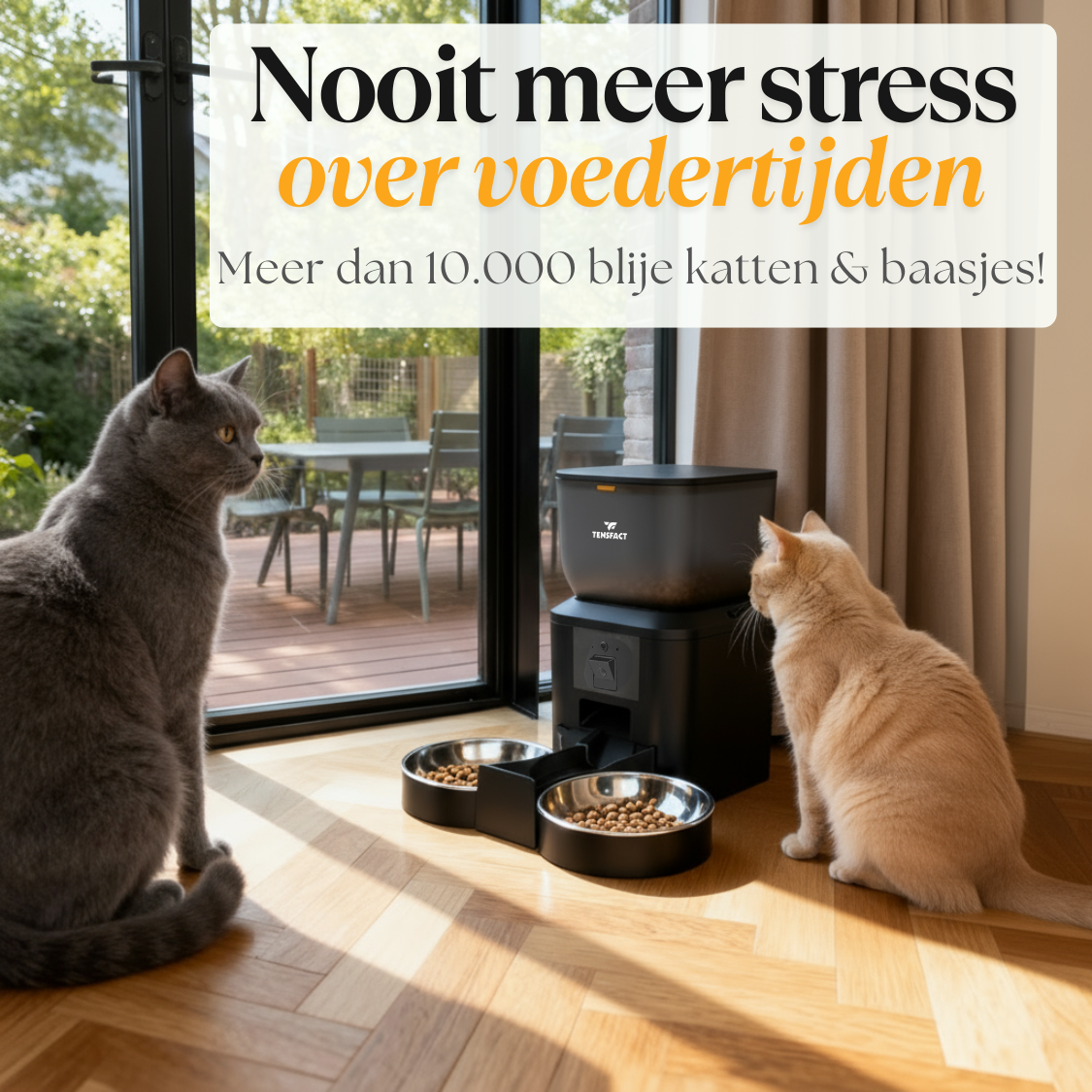 Automatische voerbak: Nooit meer stress over voedertijd! Tensfact.com