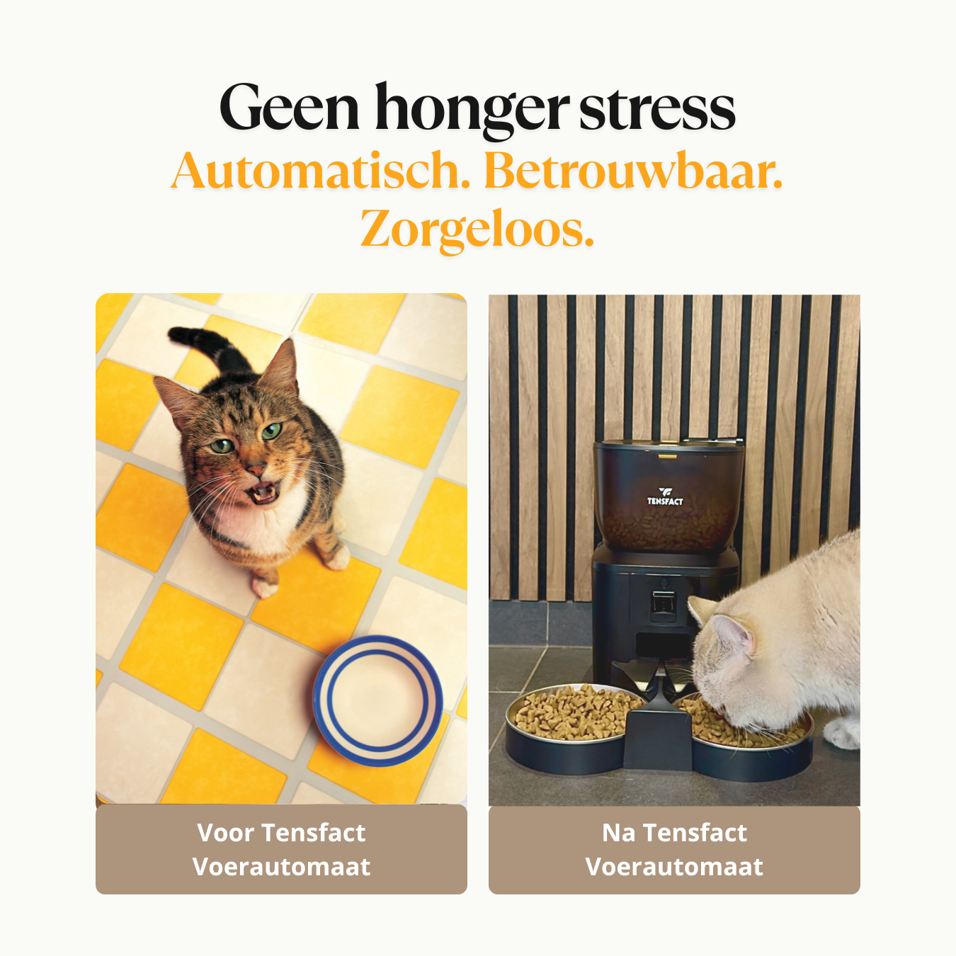 Automatische voerbak: Een slimme oplossing voor voedertijd! Tensfact.com
