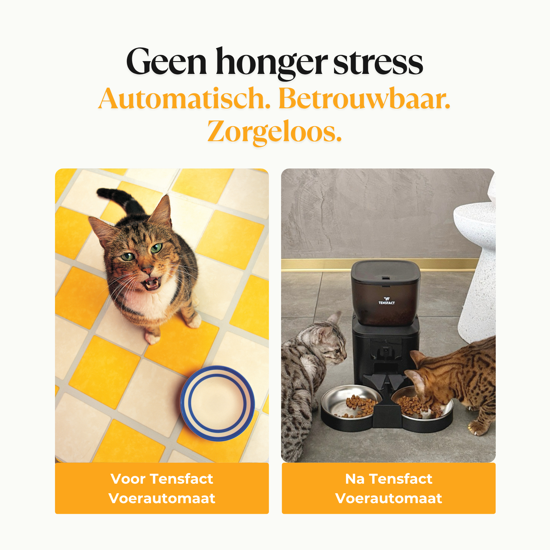 Automatische voerbak: Nooit meer stress over voedertijd! Tensfact.com
