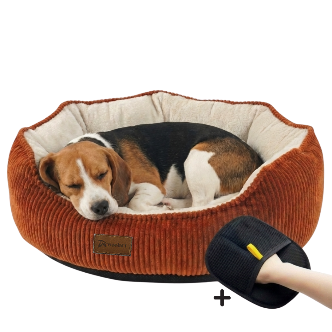 Hondenmand terracotta L wasbaar zachte ribstof mand voor hond Woolart Tensfact.com