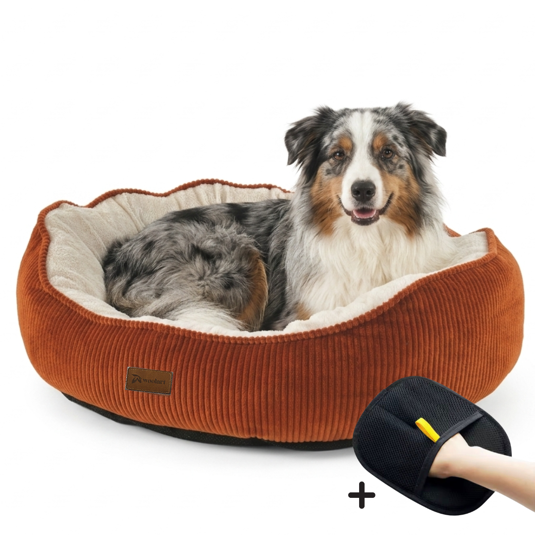 Hondenmand terracotta XL wasbaar zachte ribstof voor middelgrote hond Woolart Tensfact.com