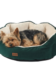 Woolart Hondenmand - Luxe Hondenkussen - Kattenmand - Groen Maat M Tensfact.com