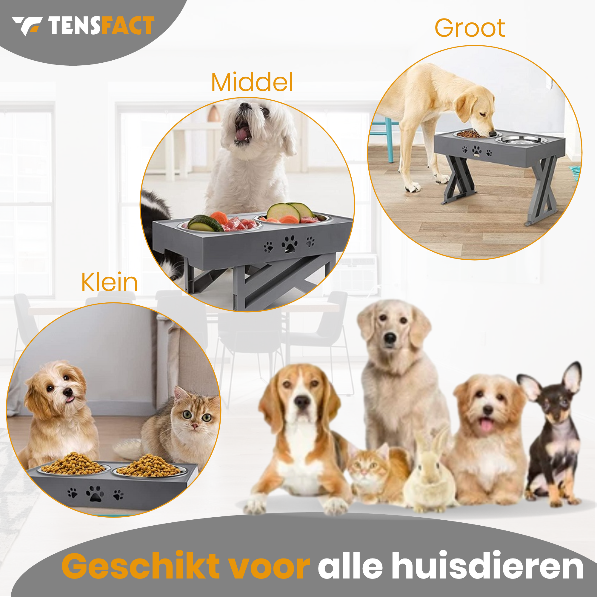 Tensfact Dubbele Voerbak voor Hond &amp; Kat – Ergonomisch &amp; Duurzaam Tensfact.com